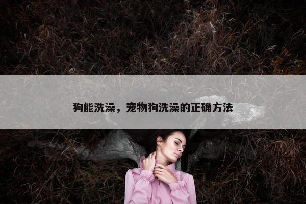 狗能洗澡，宠物狗洗澡的正确方法