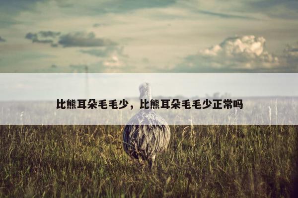 比熊耳朵毛毛少，比熊耳朵毛毛少正常吗