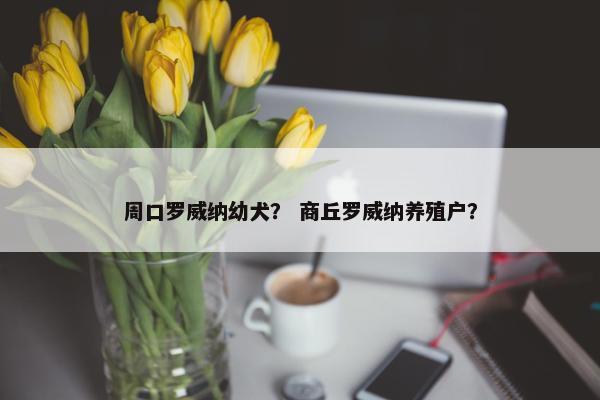 周口罗威纳幼犬？ 商丘罗威纳养殖户？