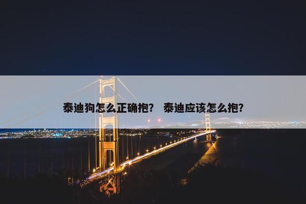泰迪狗怎么正确抱？ 泰迪应该怎么抱？