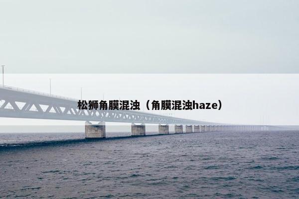 松狮角膜混浊（角膜混浊haze）
