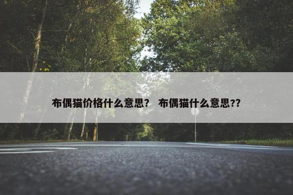 布偶猫价格什么意思？ 布偶猫什么意思?？