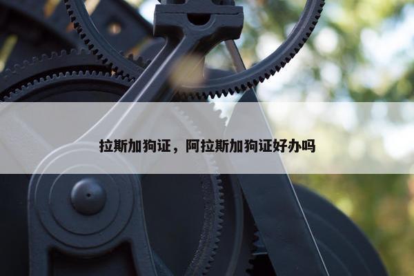 拉斯加狗证，阿拉斯加狗证好办吗