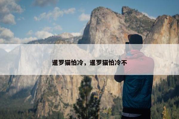 暹罗猫怕冷，暹罗猫怕冷不