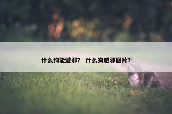 什么狗能避邪? 什么狗避邪图片?