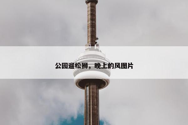 公园遛松狮，晚上的风图片