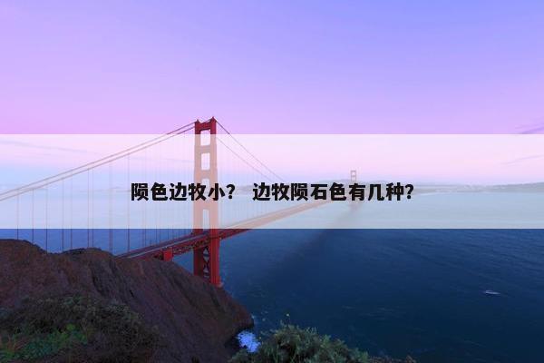 陨色边牧小？ 边牧陨石色有几种？