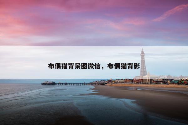 布偶猫背景图微信，布偶猫背影