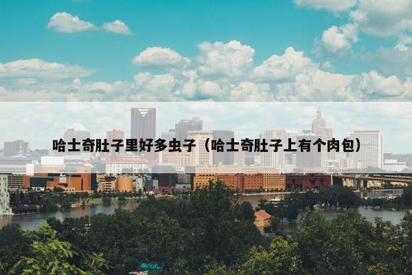 哈士奇肚子里好多虫子（哈士奇肚子上有个肉包）