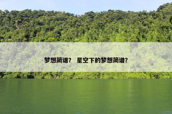 梦想简谱？ 星空下的梦想简谱？