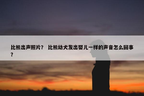 比熊出声照片？ 比熊幼犬发出婴儿一样的声音怎么回事？