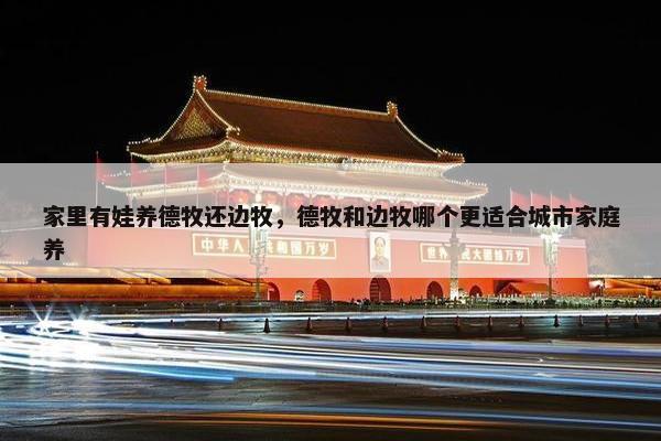 家里有娃养德牧还边牧，德牧和边牧哪个更适合城市家庭养