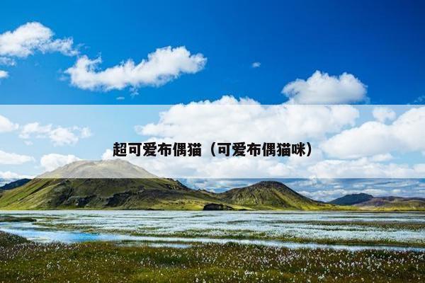 超可爱布偶猫（可爱布偶猫咪）