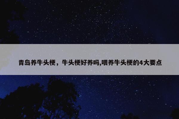 青岛养牛头梗,牛头梗好养吗,喂养牛头梗的4大要点 青岛养牛头梗,牛头梗好养吗,喂养牛头梗的4大要点