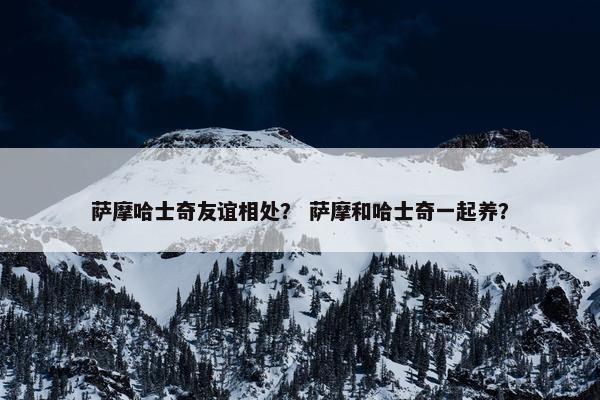 萨摩哈士奇友谊相处？ 萨摩和哈士奇一起养？