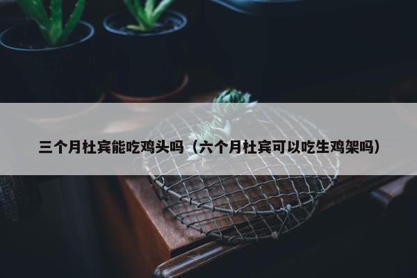 三个月杜宾能吃鸡头吗（六个月杜宾可以吃生鸡架吗）