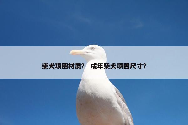 柴犬项圈材质? 成年柴犬项圈尺寸?