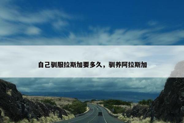 自己驯服拉斯加要多久，驯养阿拉斯加