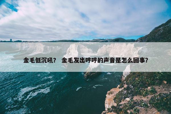 金毛低沉吼？ 金毛发出哼哼的声音是怎么回事？