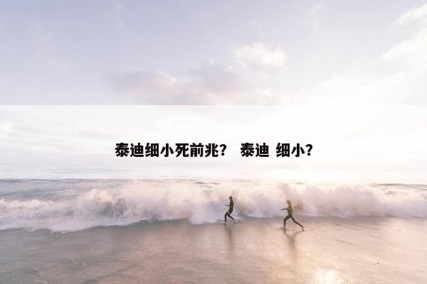 泰迪细小死前兆？ 泰迪 细小？