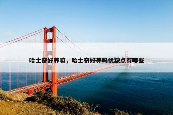 哈士奇好养嘛，哈士奇好养吗优缺点有哪些