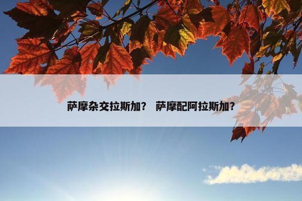 萨摩杂交拉斯加? 萨摩配阿拉斯加? 萨摩杂交拉斯加? 萨摩配阿拉斯加?