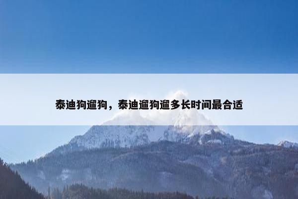泰迪狗遛狗,泰迪遛狗遛多长时间最合适