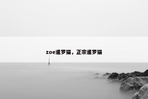 zoe暹罗猫，正宗暹罗猫