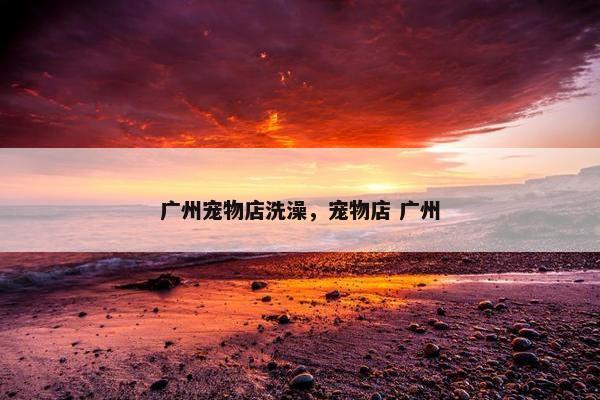 广州宠物店洗澡,宠物店 广州 广州宠物店洗澡,宠物店 广州