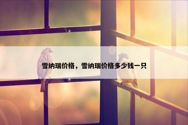 雪纳瑞价格，雪纳瑞价格多少钱一只