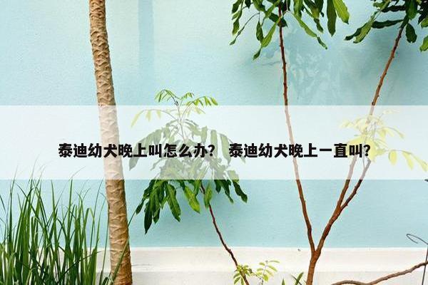 泰迪幼犬晚上叫怎么办？ 泰迪幼犬晚上一直叫？