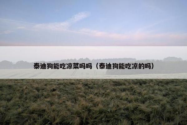 泰迪狗能吃凉菜吗吗（泰迪狗能吃凉的吗）