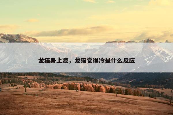 龙猫身上凉，龙猫觉得冷是什么反应