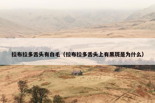 拉布拉多舌头有白毛（拉布拉多舌头上有黑斑是为什么）