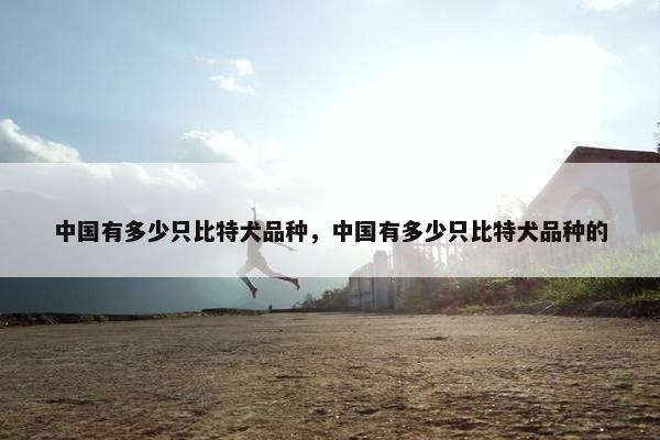 中国有多少只比特犬品种，中国有多少只比特犬品种的