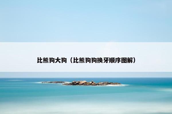 比熊狗大狗（比熊狗狗换牙顺序图解）