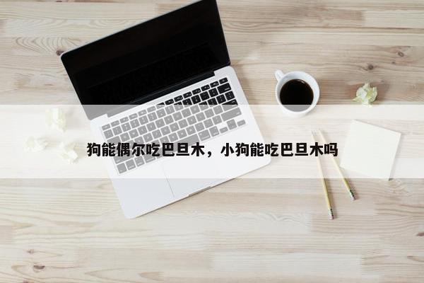 狗能偶尔吃巴旦木，小狗能吃巴旦木吗