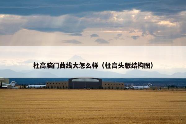 杜高脑门曲线大怎么样（杜高头版结构图）