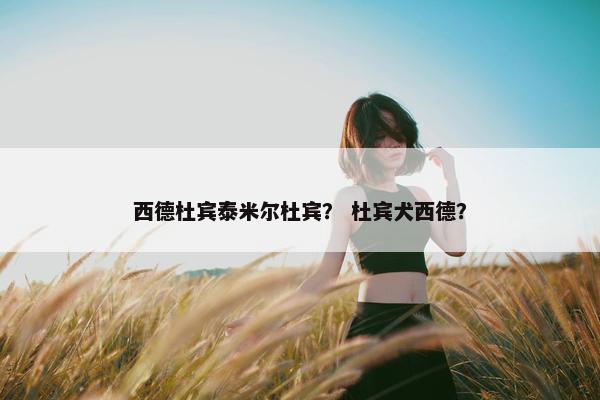 西德杜宾泰米尔杜宾? 杜宾犬西德?