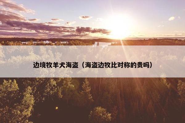 边境牧羊犬海盗(海盗边牧比对称的贵吗) 边境牧羊犬海盗(海盗边牧比对称的贵吗)