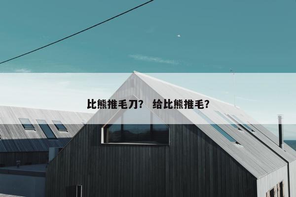 比熊推毛刀？ 给比熊推毛？