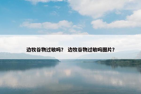 边牧谷物过敏吗？ 边牧谷物过敏吗图片？