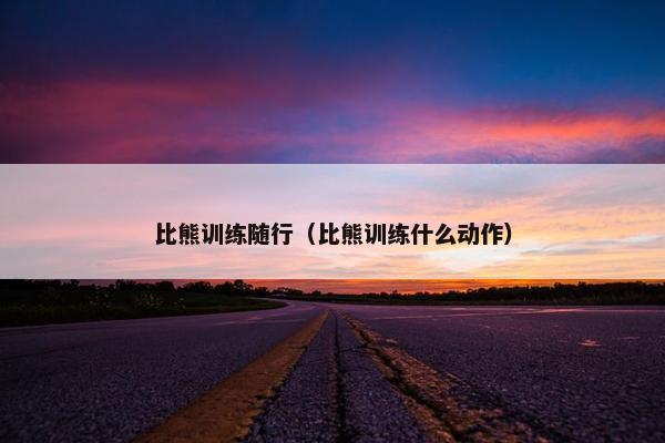 比熊训练随行（比熊训练什么动作）