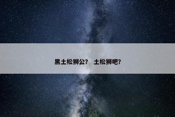 黑土松狮公？ 土松狮吧？