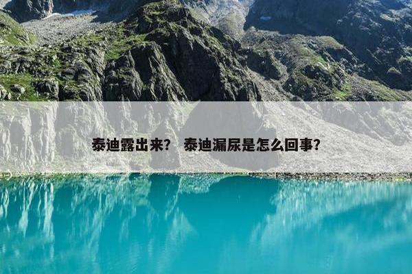 泰迪露出来？ 泰迪漏尿是怎么回事？