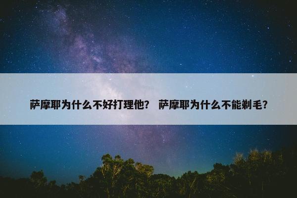 萨摩耶为什么不好打理他？ 萨摩耶为什么不能剃毛？