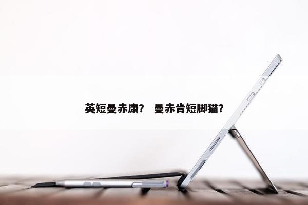 英短曼赤康？ 曼赤肯短脚猫？