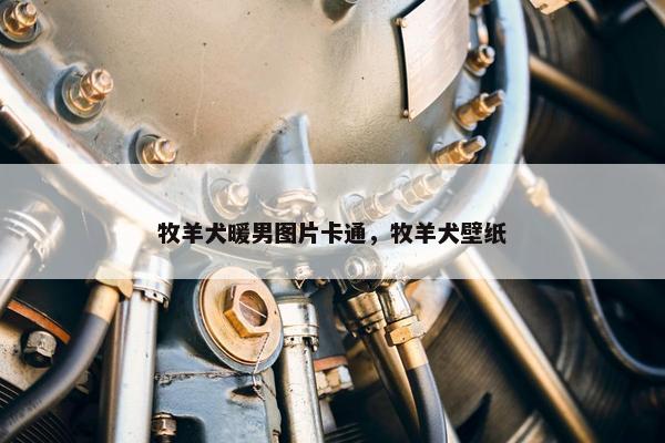 牧羊犬暖男图片卡通,牧羊犬壁纸 牧羊犬暖男图片卡通,牧羊犬壁纸