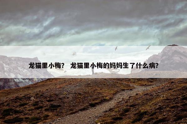 龙猫里小梅？ 龙猫里小梅的妈妈生了什么病？