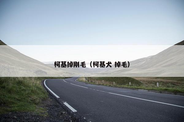 柯基掉刚毛（柯基犬 掉毛）